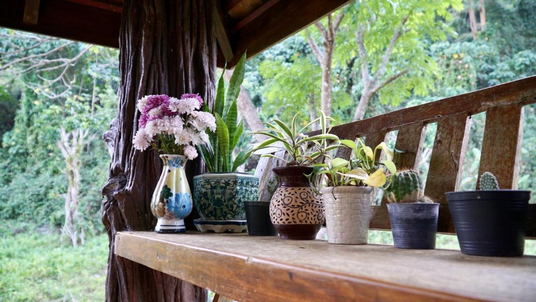Photo of Others in Chiang Dao