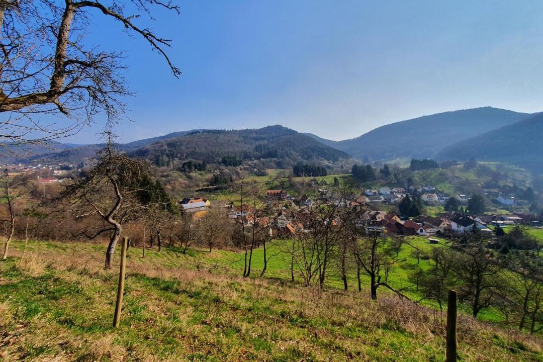 Photo of Outdoor in Dernbach