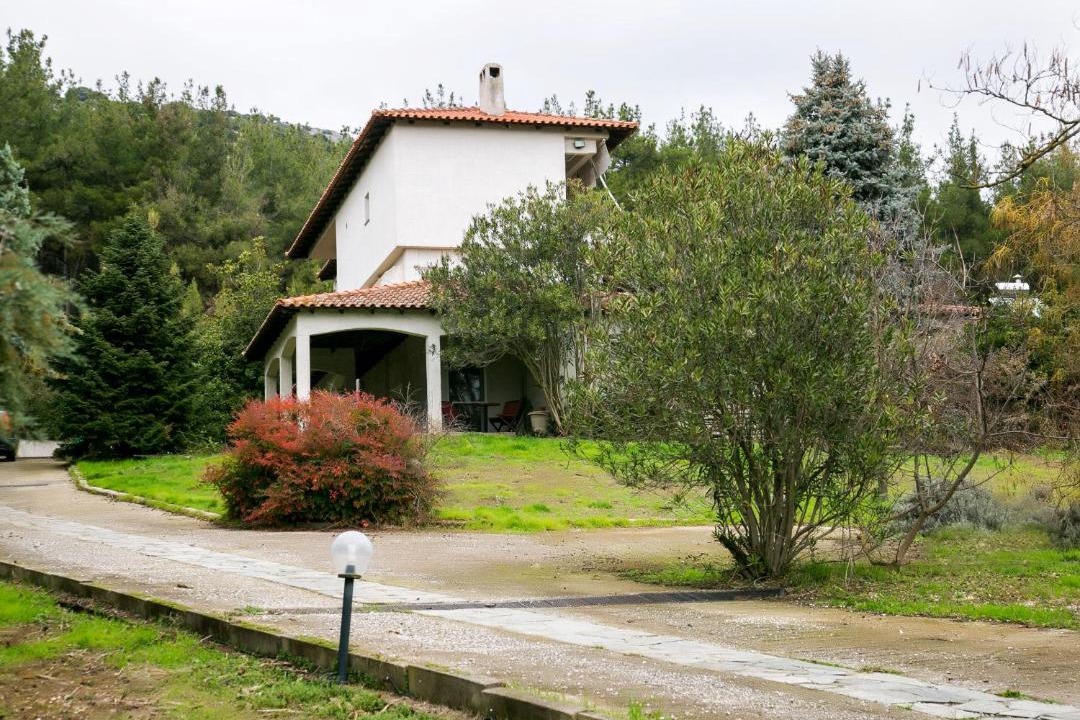 Photo of Buildings in Serres