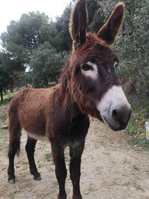 Photo of Others in Alella