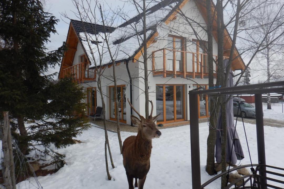 Photo of Others in Tatranska Lomnica