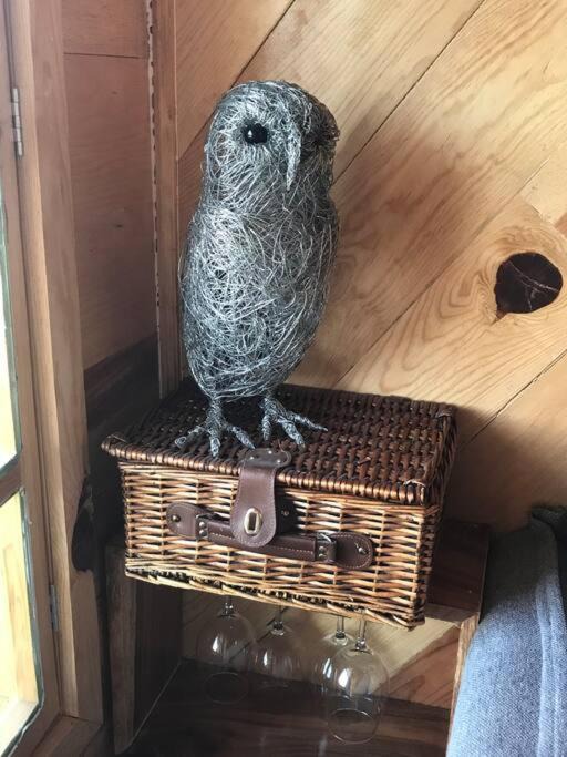 Photo of Others in Juanacatlan