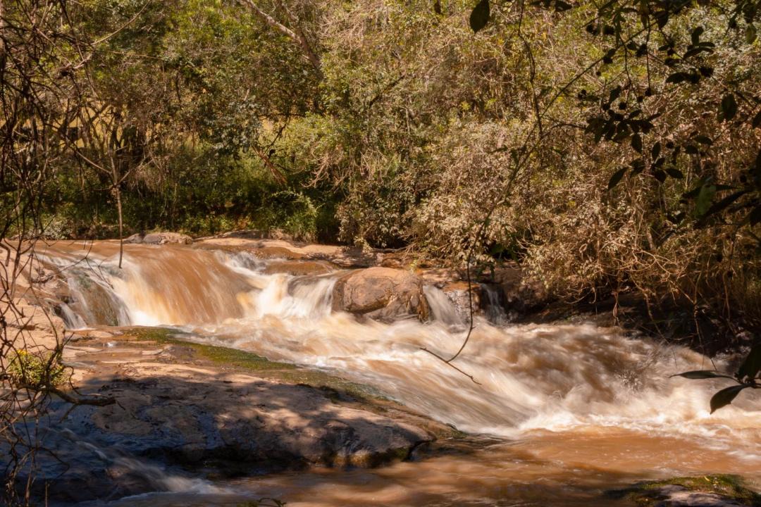 Photo of Others in Bueno Brandao