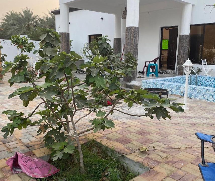 Photo of Others in Khor Fakkan