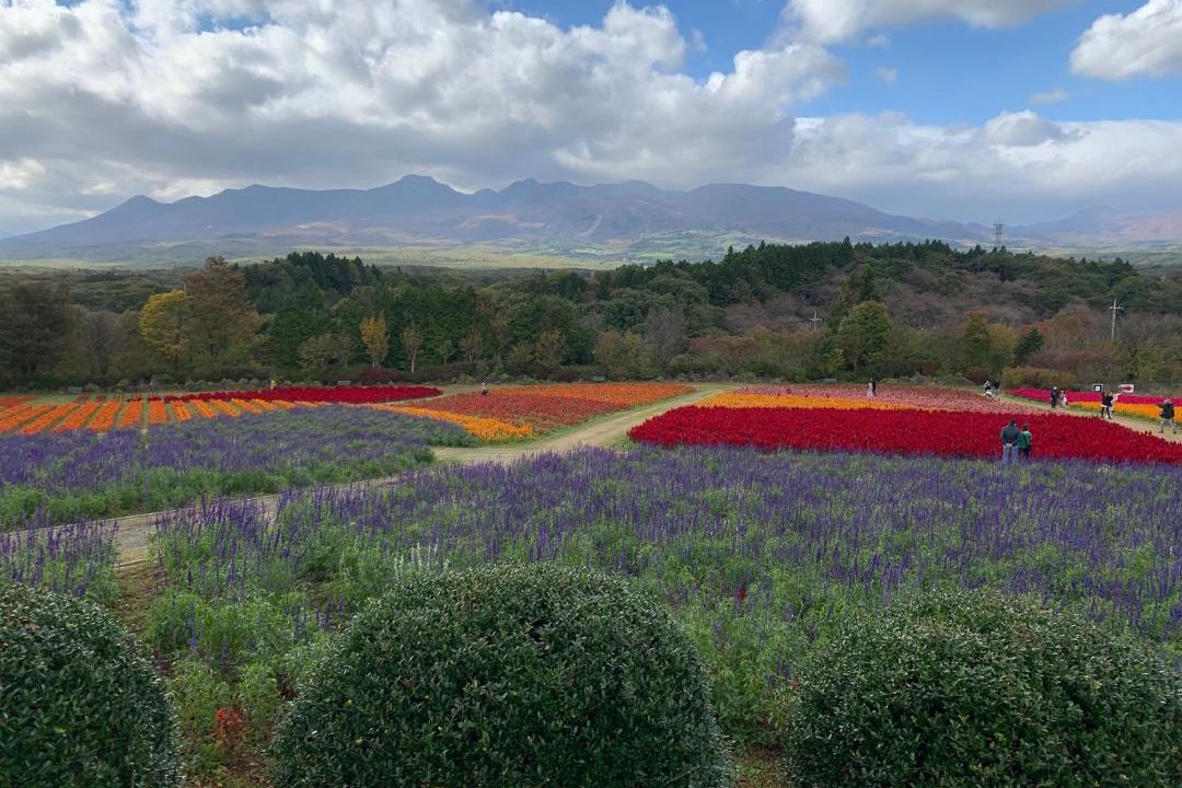 Photo of Others in Nasu