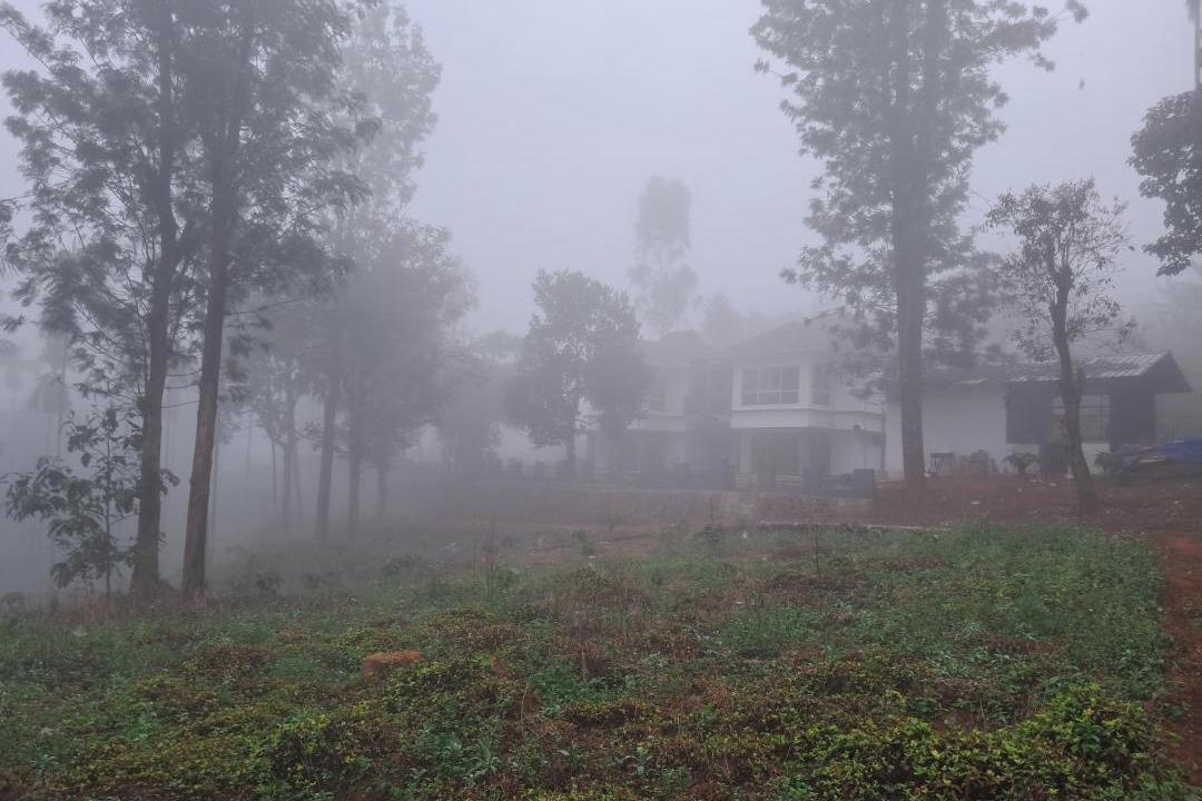 Photo of Others in Vayittiri