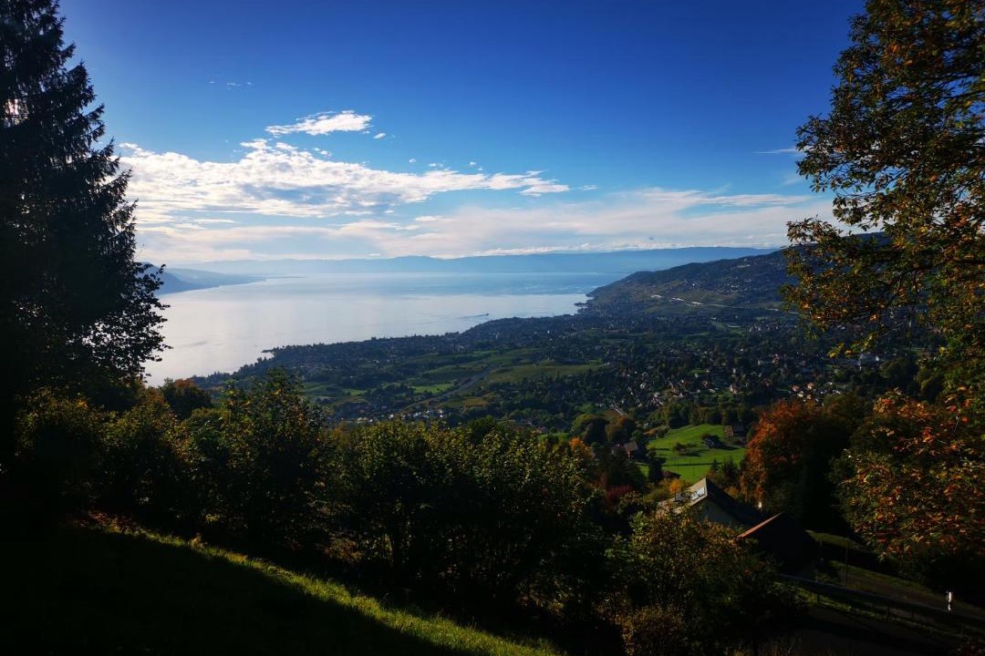 Photo of Others in Montreux