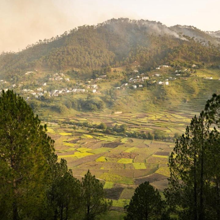 Photo of Outdoor in Majkhali