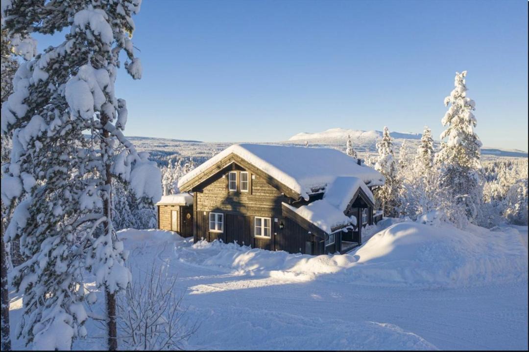 Photo of Buildings in Trysil