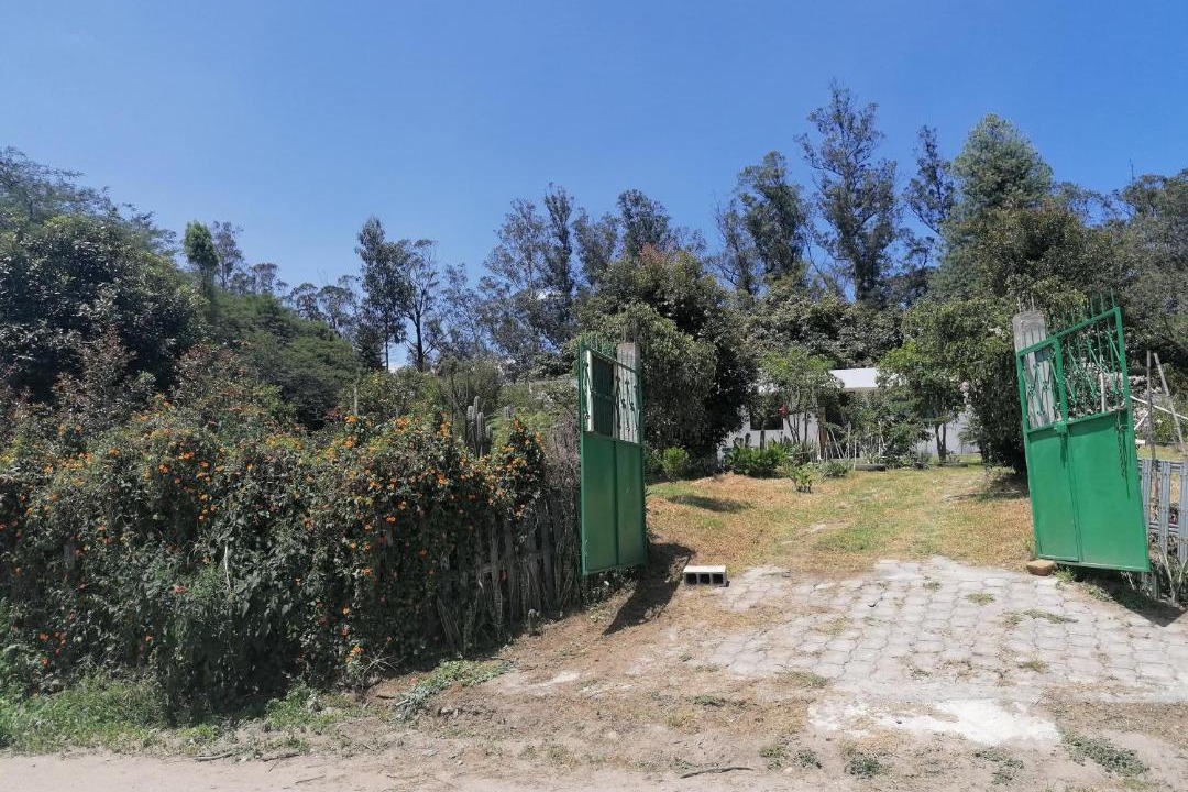 Photo of Others in Guayllabamba