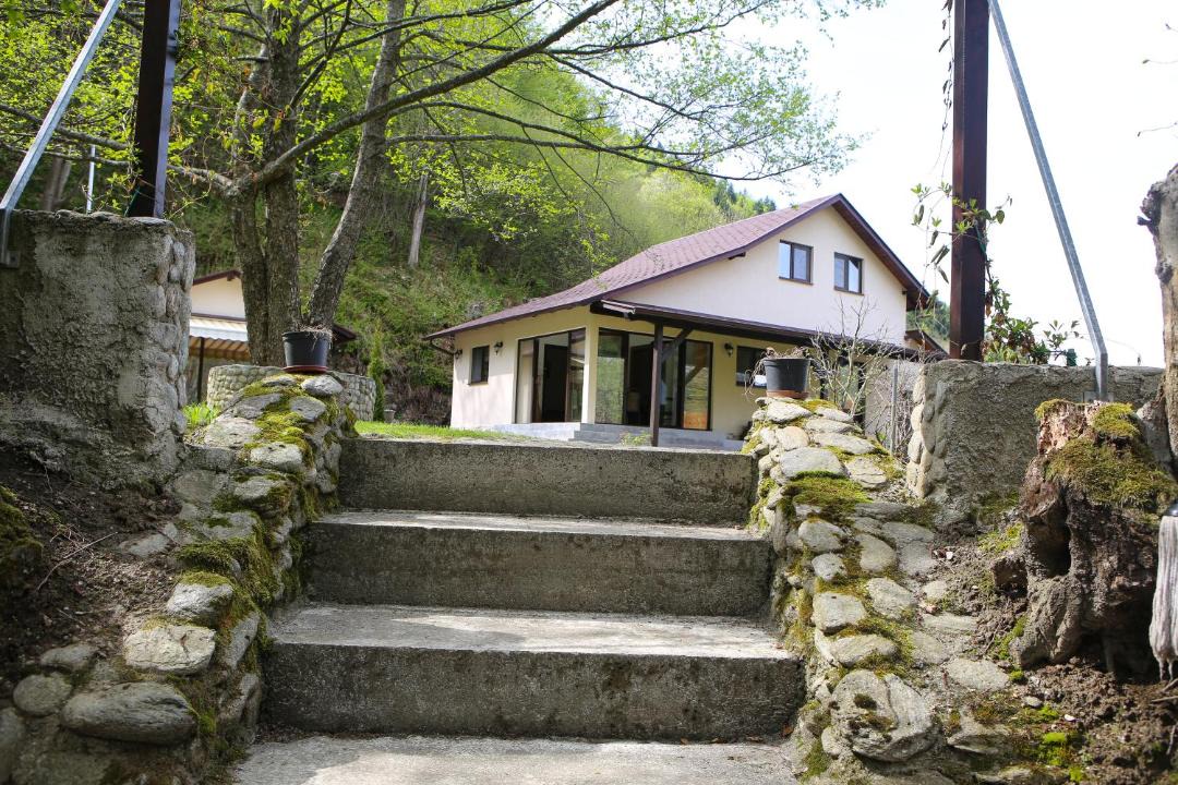 Photo of Buildings in Lisa