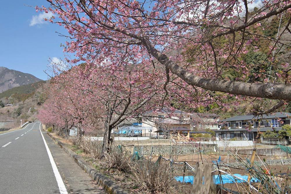 Photo of Buildings in Matsuda