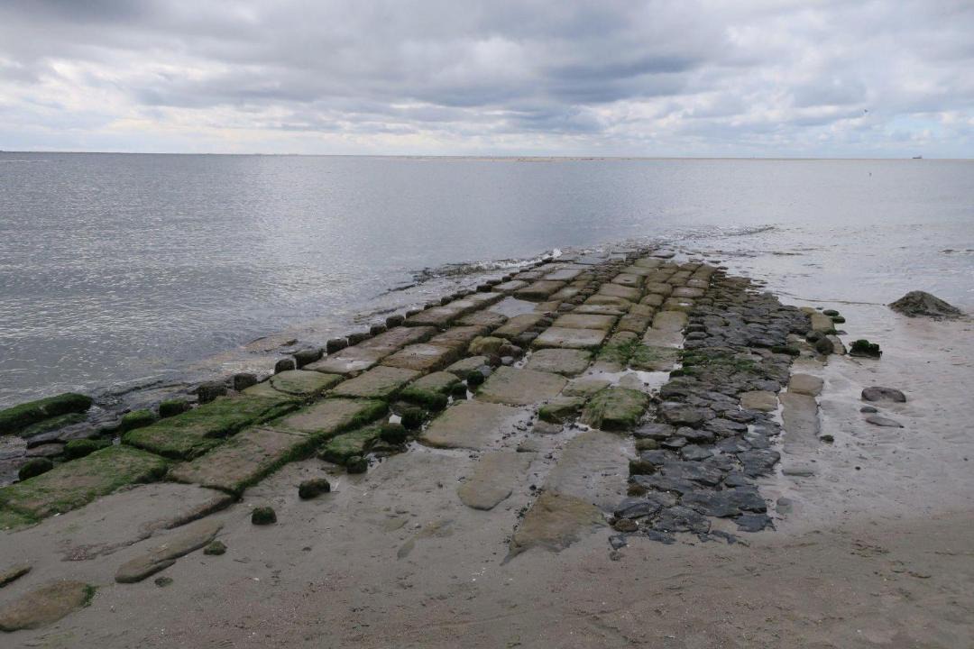 Photo of Others in Borkum