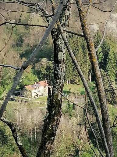 Photo of Others in San Marcello Piteglio