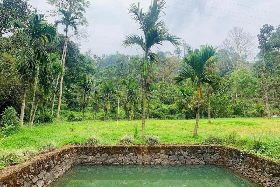 Photo of Outdoor in Vythiri