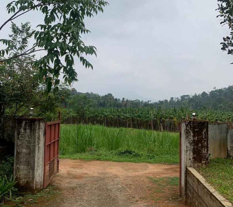 Photo of Others in Vythiri