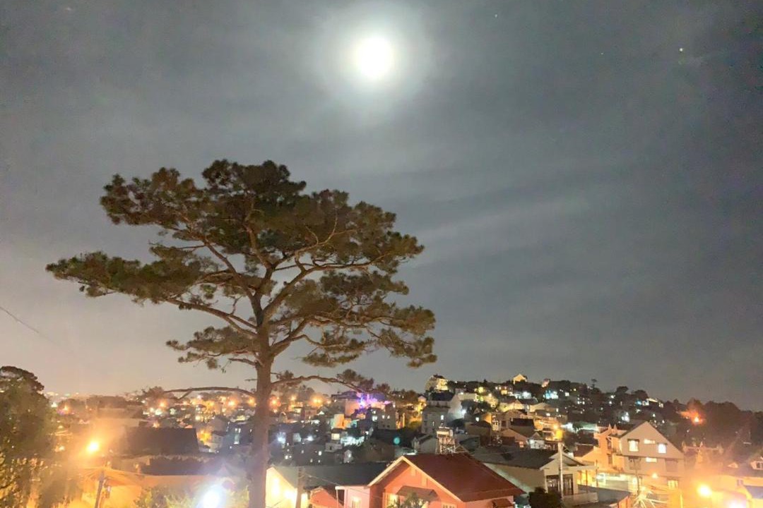 Photo of Others in Da Lat