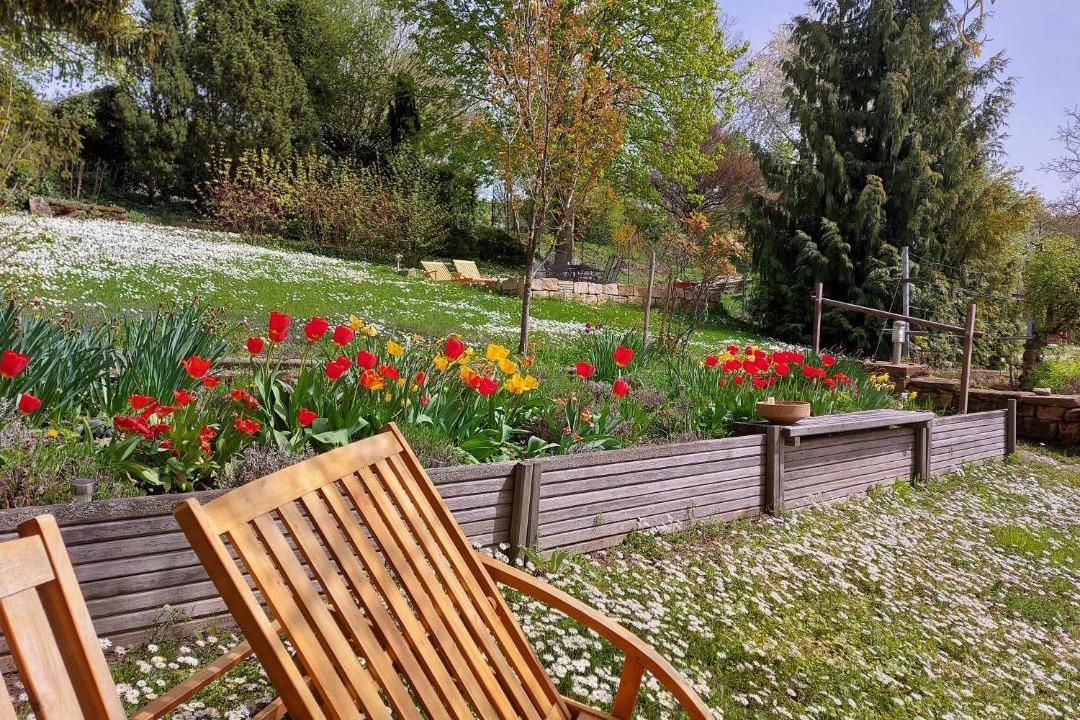 Photo of Others in Ilbesheim
