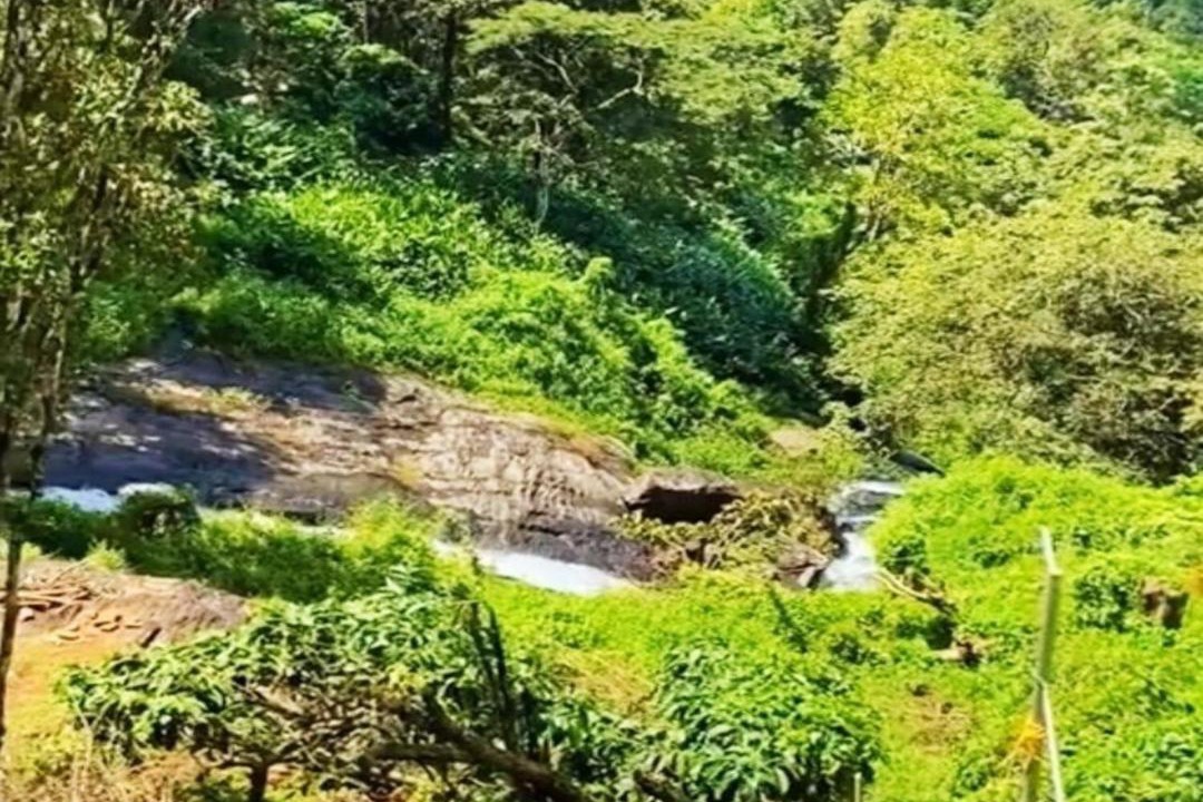 Photo of Outdoor in Kunnathidavaka