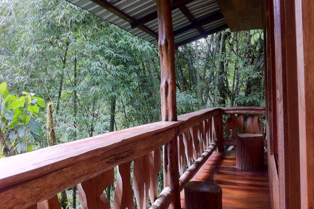 Photo of Others in Ecuadorian Amazon