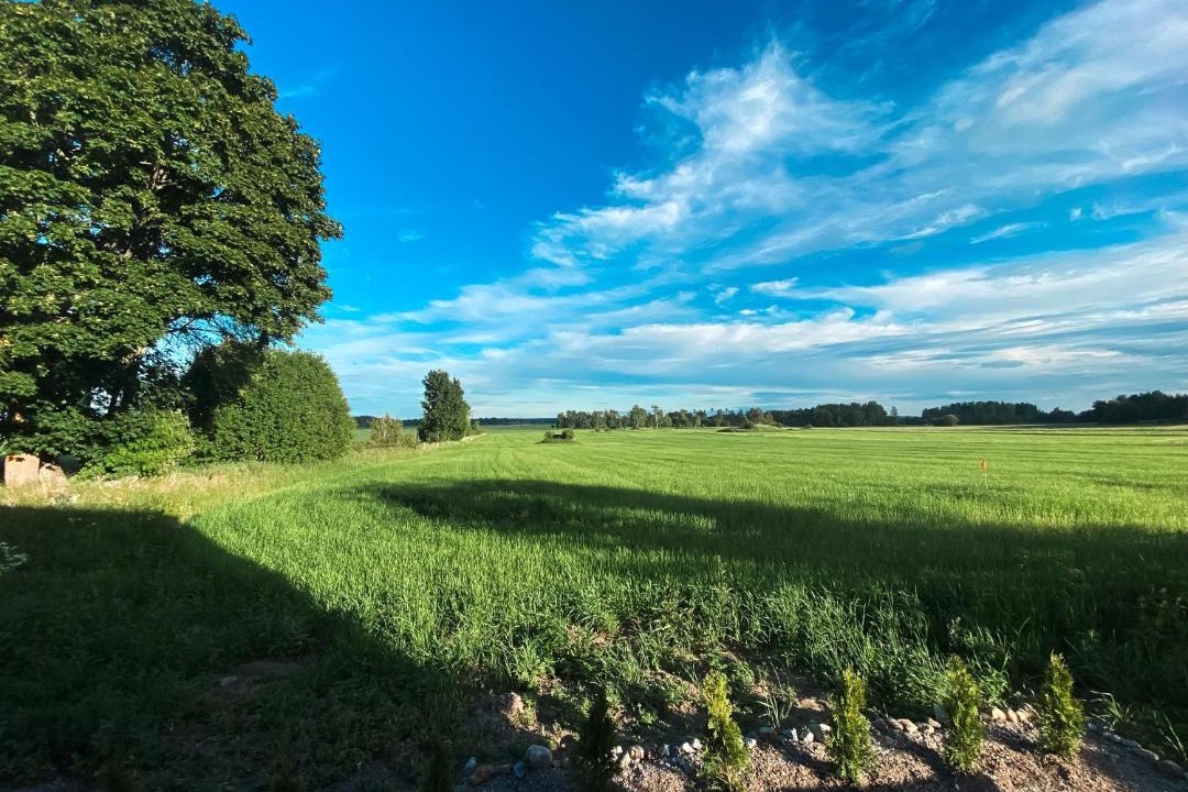 Photo of Others in Orebro