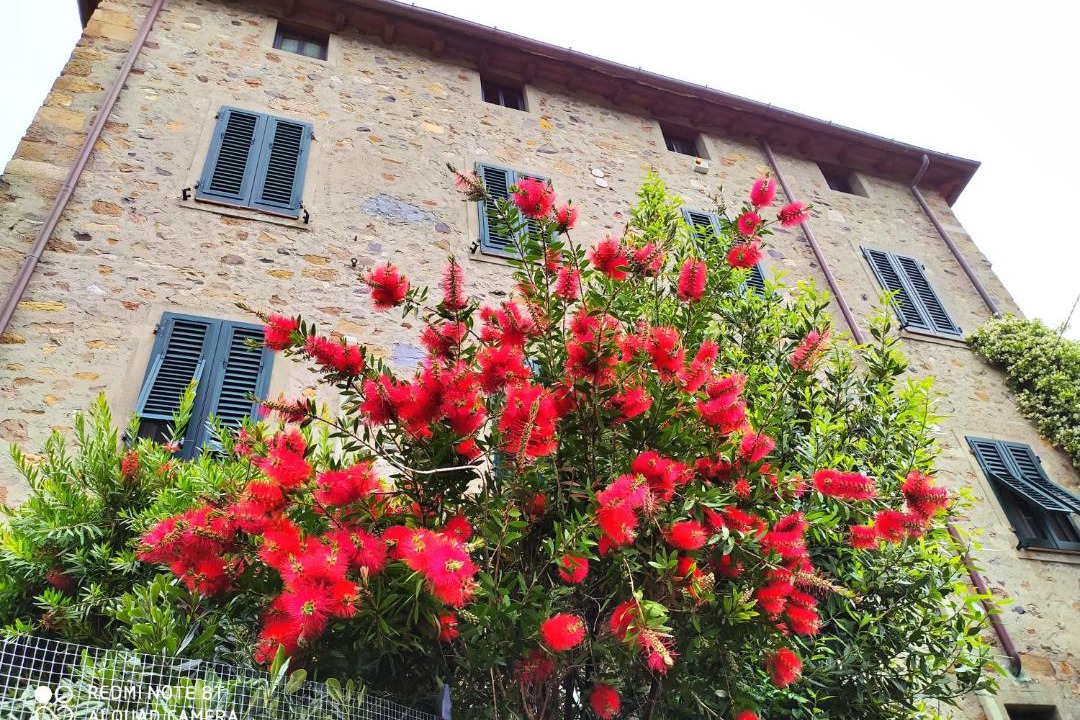 Photo of Others in Castelvecchio