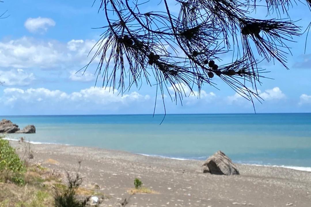 Photo of Others in Wanluan