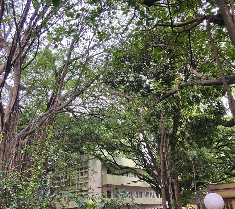 Photo of Others in Shanthala Nagar