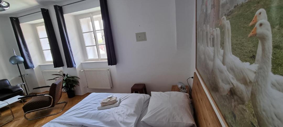 Photo of Others in Domazlice