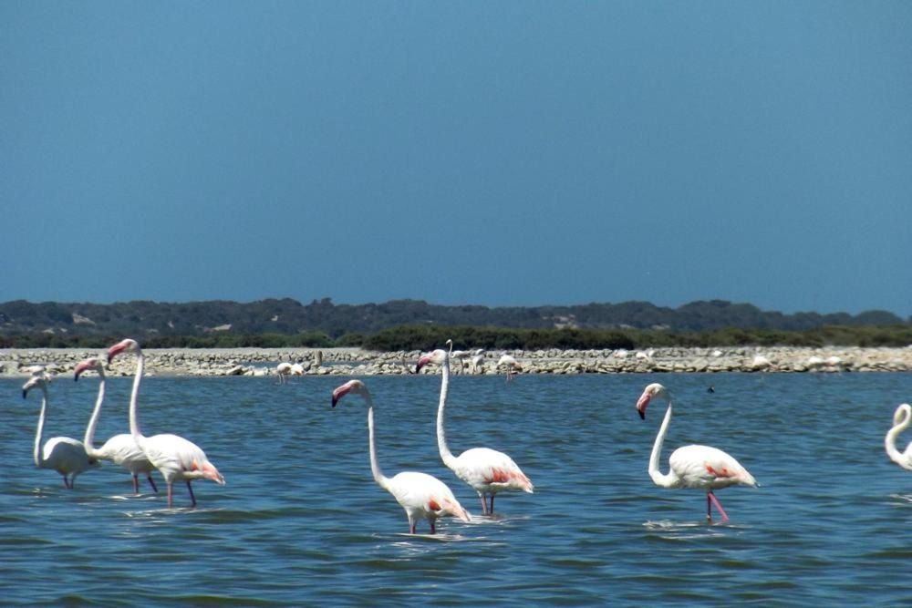 Photo of Others in Almerimar