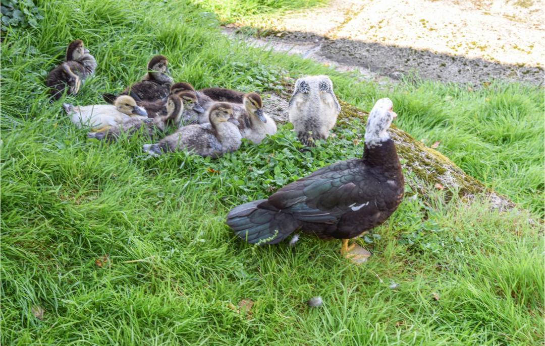 Photo of Others in Hurum