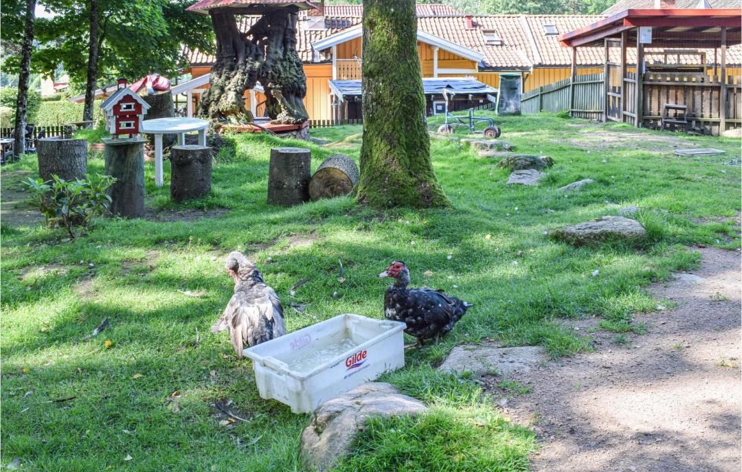Photo of Others in Hurum