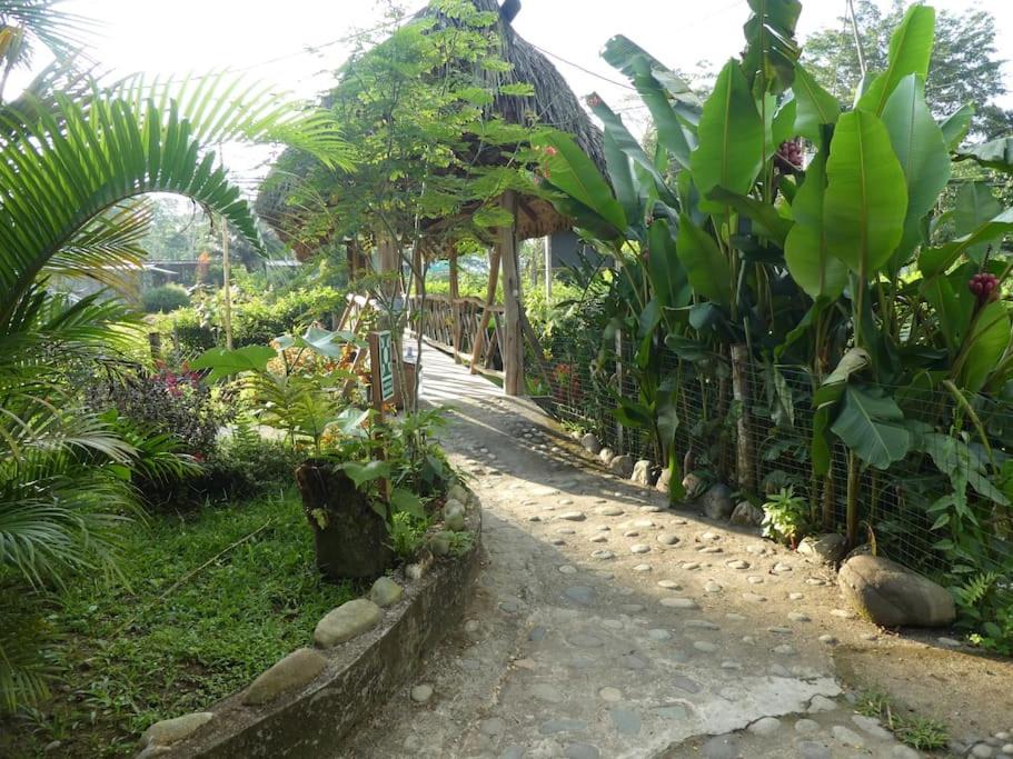 Photo of Others in Misahualli