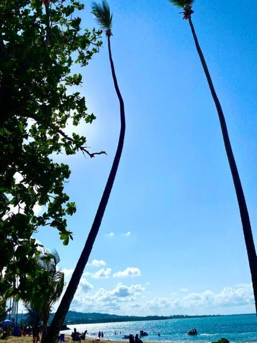Photo of Outdoor in Hato Nuevo