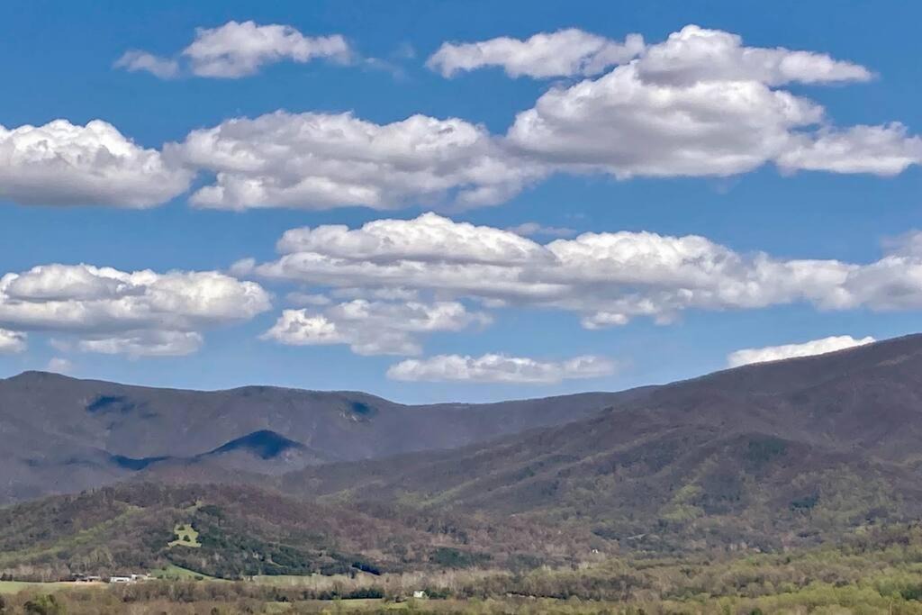 Photo of Outdoor in Stanley