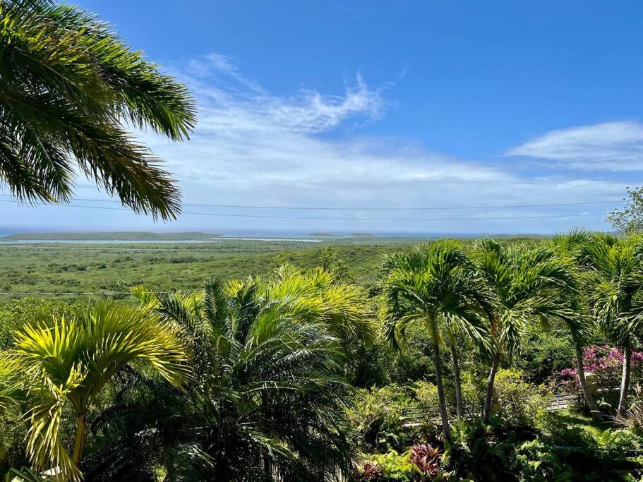 Photo of Outdoor in Puerto Ferro