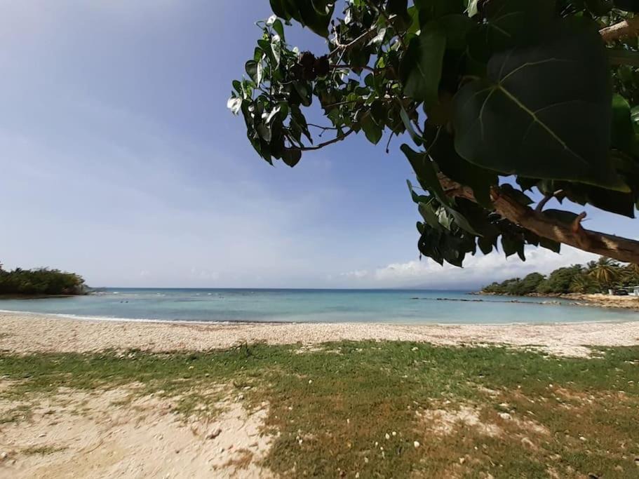 Photo of Outdoor in Bas du Fort