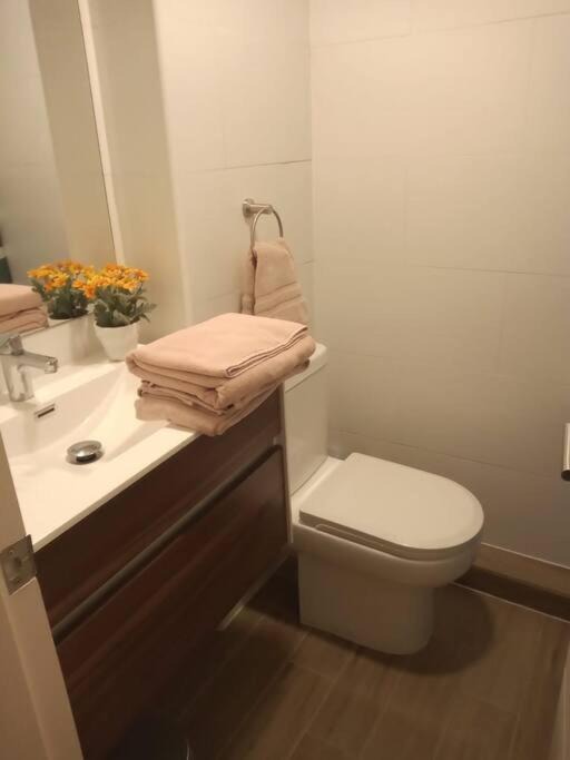 Photo of Bathroom in Puerto Varas