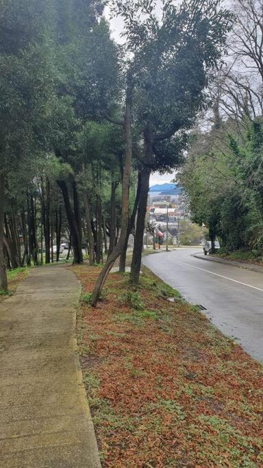 Photo of Outdoor in Puerto Varas