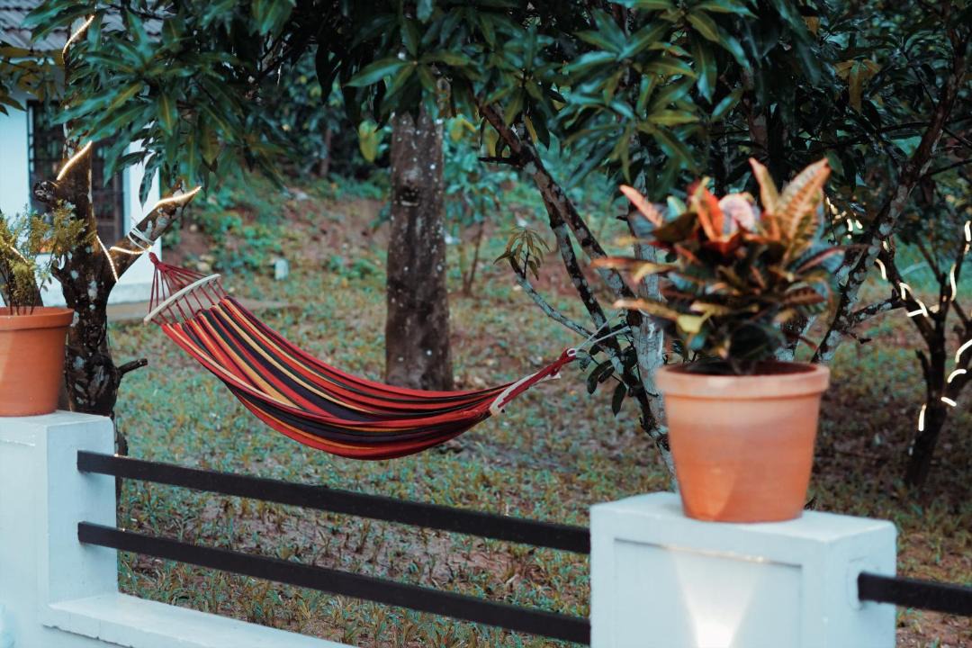 Photo of Others in Vayittiri