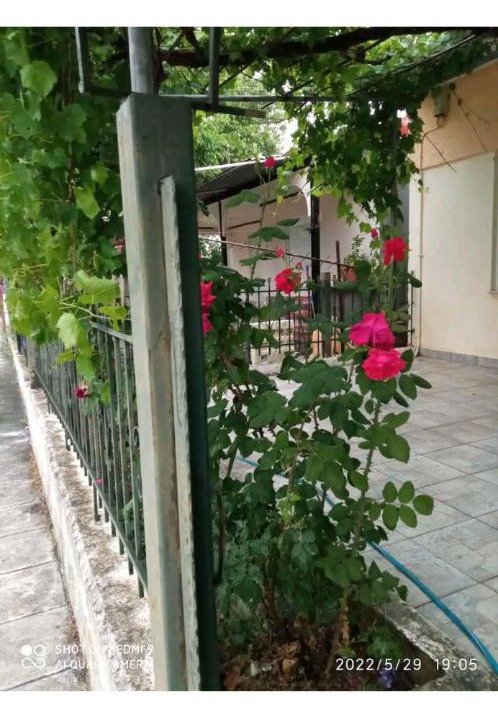 Photo of Others in Kilkis