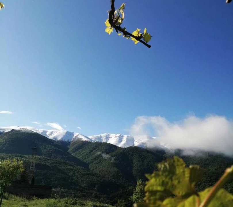 Photo of Outdoor in Dilijan