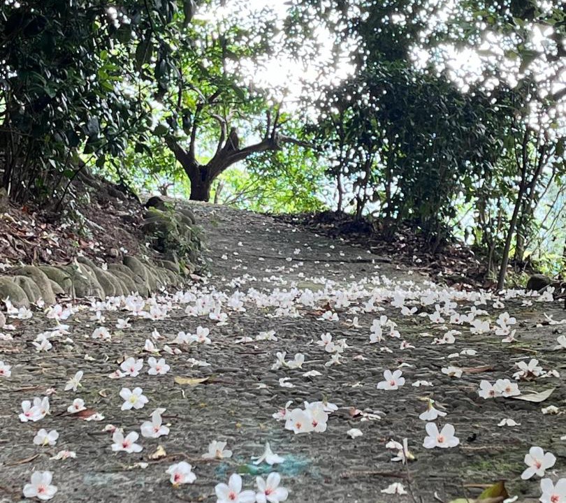 Photo of Outdoor in Sanyi