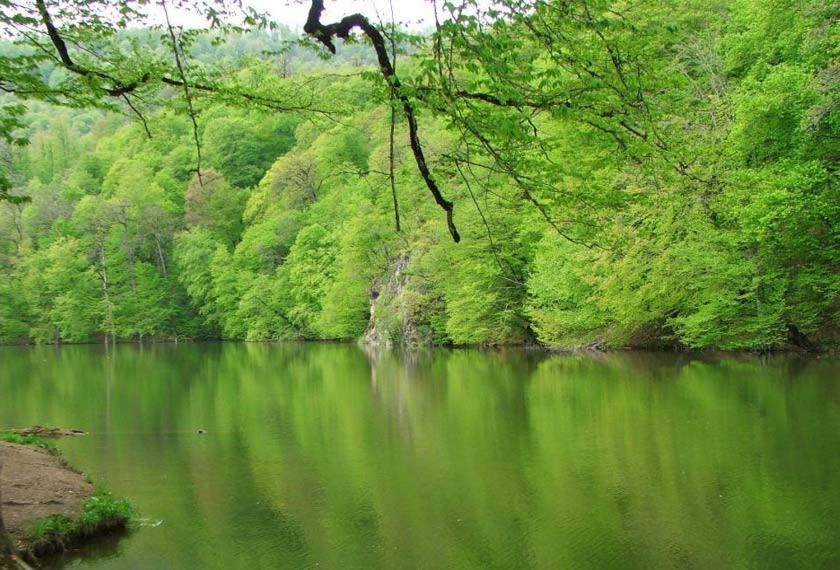 Photo of Outdoor in Dilijan