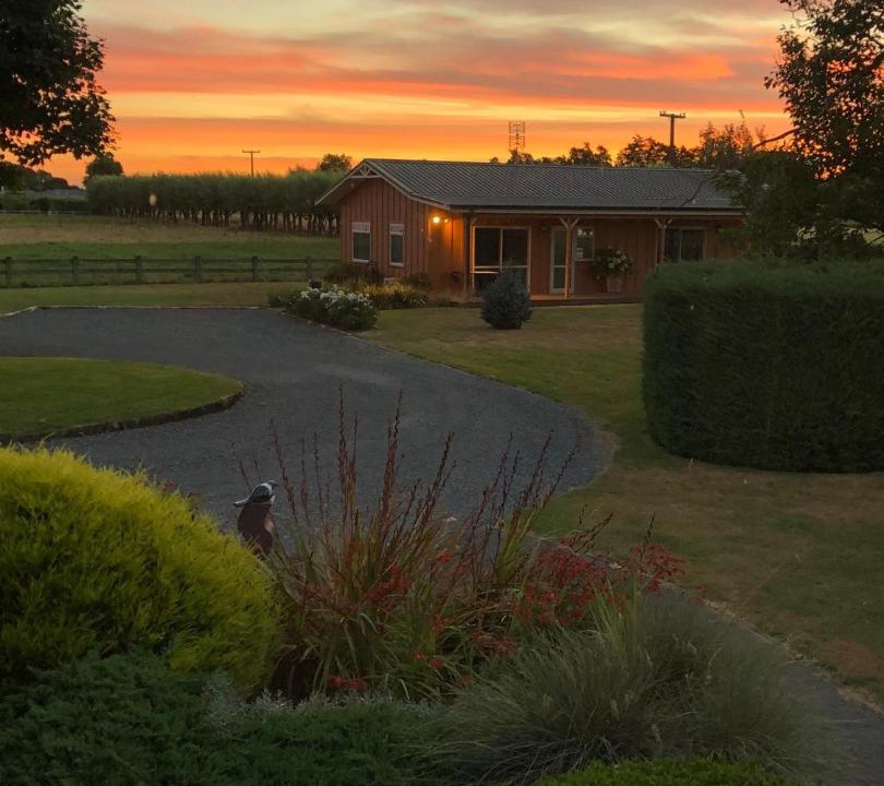 Photo of Others in Matamata