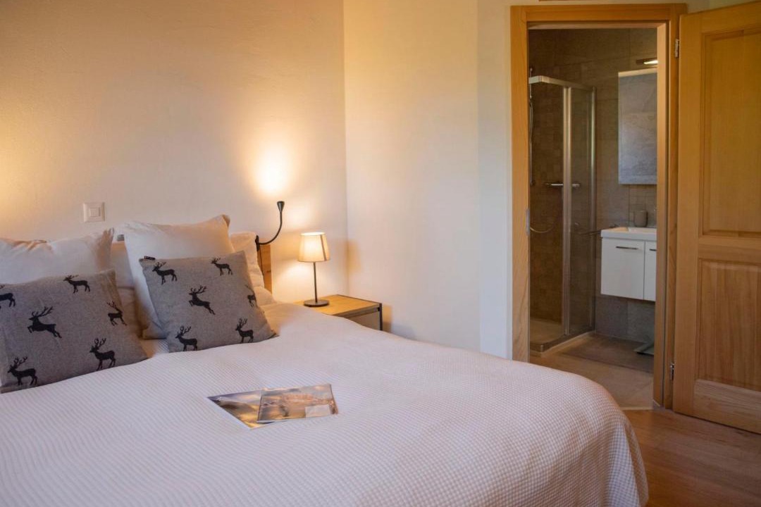 Photo of Bedroom in Chesieres