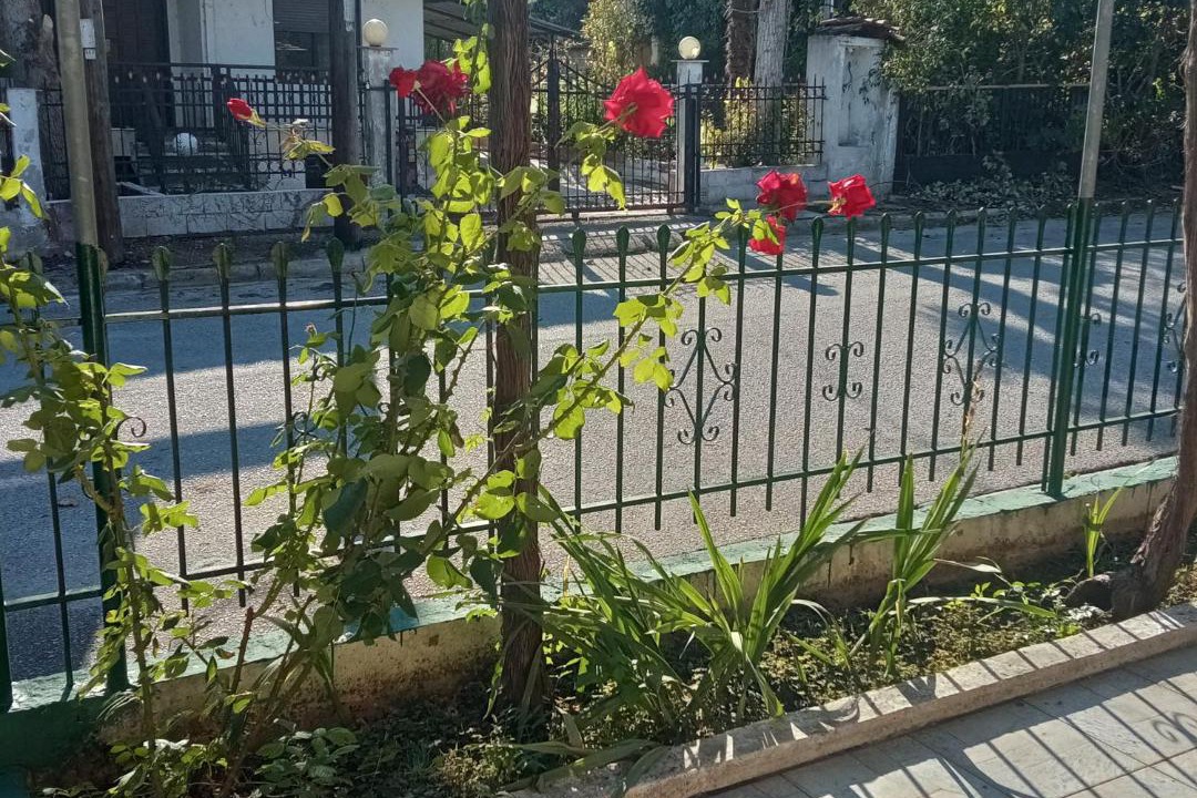 Photo of Others in Kilkis