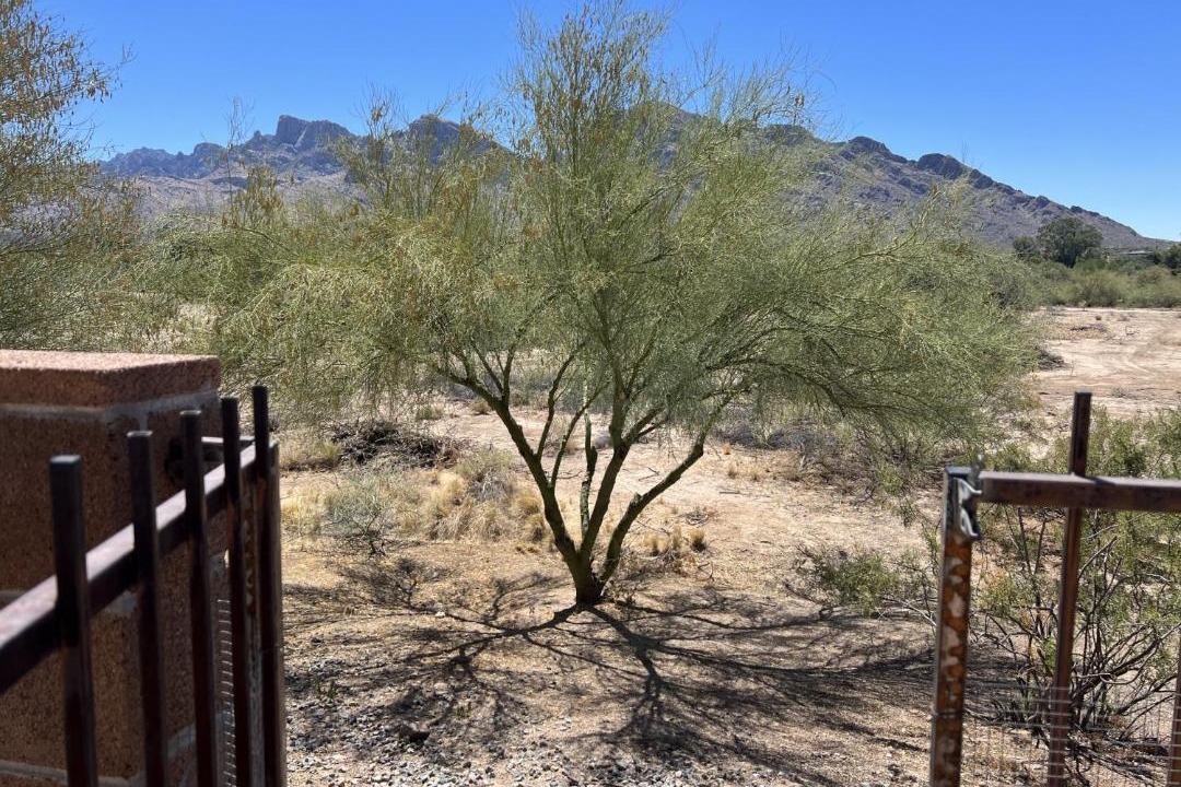 Photo of Others in Oro Valley