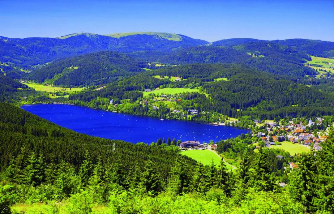 Photo of Others in Hinterzarten