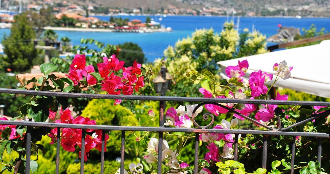 Photo of Others in Selimiye